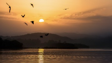 At leve uden at bekymre sig (for meget)