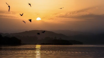 At leve uden at bekymre sig (for meget)