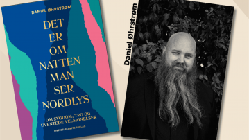 Det er om natten, man ser nordlys